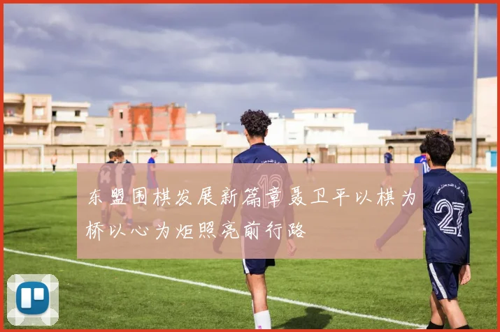 东盟围棋发展新篇章聂卫平以棋为桥以心为炬照亮前行路