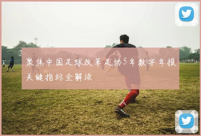 聚焦中国足球改革足协5年数字年报关键指标全解读