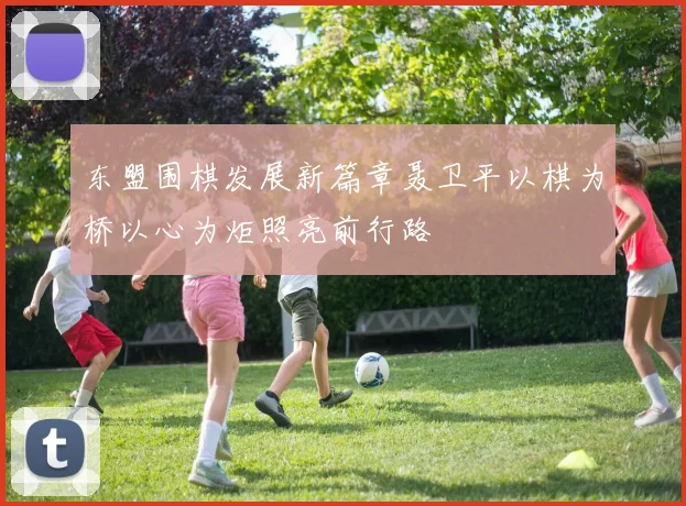 东盟围棋发展新篇章聂卫平以棋为桥以心为炬照亮前行路