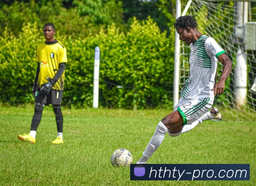 hth - 打造备受球迷信赖的综合体育新闻资讯平台品牌故事