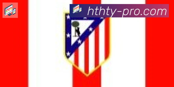 华体会体育官网合作伙伴